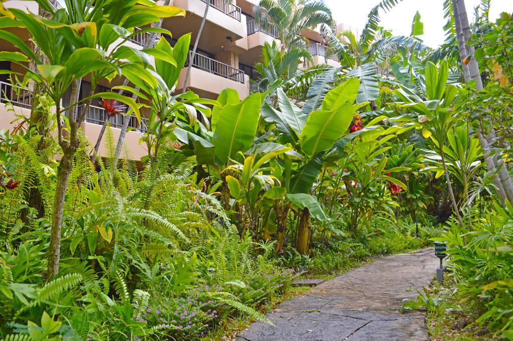 Aston Paki Maui Aparthotel Lahaina Exterior photo